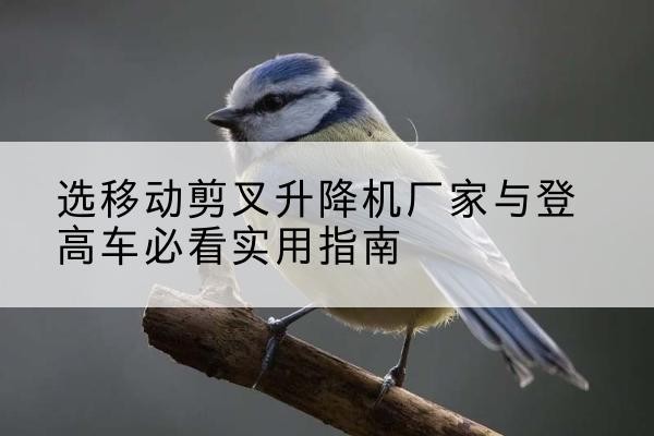 定陶电动升降机厂家-选移动剪叉升降机厂家与登高车必看实用指南