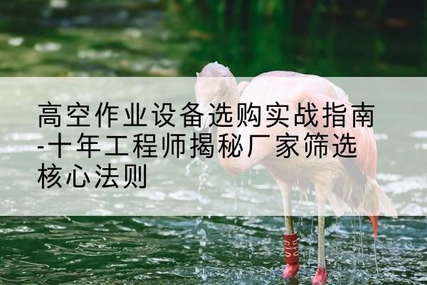 定陶剪叉式升降机厂家-高空作业设备选购实战指南-十年工程师揭秘厂家筛选核心法则