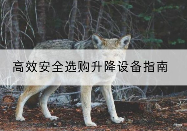 定陶升降货梯厂家推荐-*安全选购升降设备指南