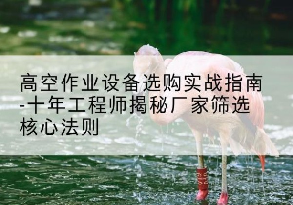 定陶剪叉式升降机厂家-高空作业设备选购实战指南-十年工程师揭秘厂家筛选核心法则