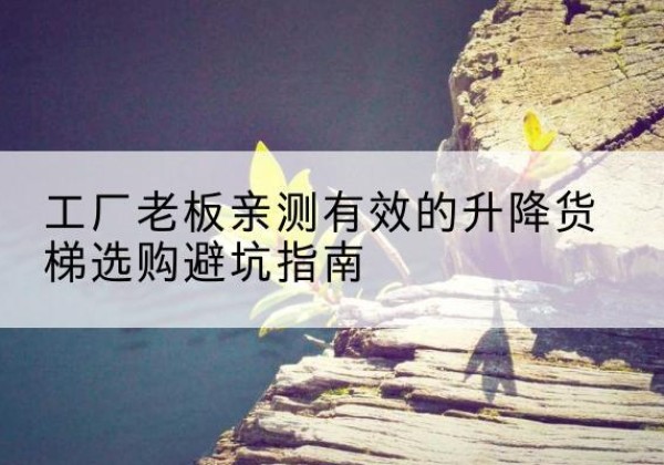 定陶升降货梯怎么选-工厂老板亲测有效的升降货梯选购避坑指南